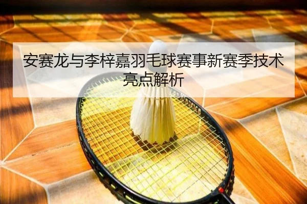 安赛龙与李梓嘉羽毛球赛事新赛季技术亮点解析（feisu）